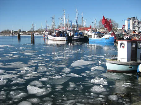 Vereister Hafen auf Fehmarn im Winter